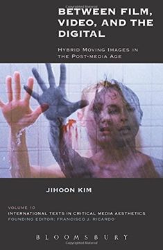 portada Between Film, Video, and the Digital: Hybrid Moving Images in the Post-Media Age (International Texts in Critical Media Aesthetics)