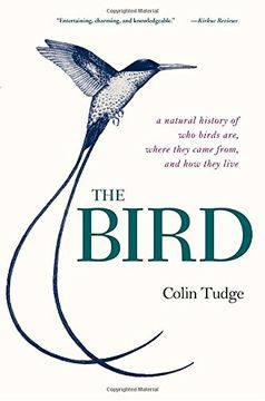 portada The Bird: A Natural History of who Birds Are, Where They Came From, and how They Live (en Inglés)