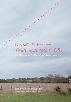 portada Name Them―They fly Better: Pat Hammond's Theory of Aerodynamics (in English)