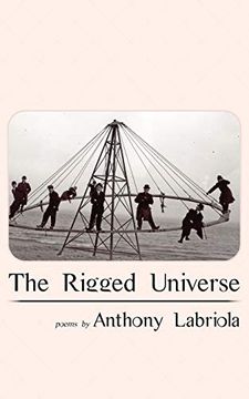 portada The Rigged Universe (en Inglés)