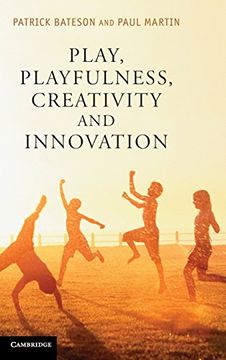 portada Play, Playfulness, Creativity and Innovation (en Inglés)