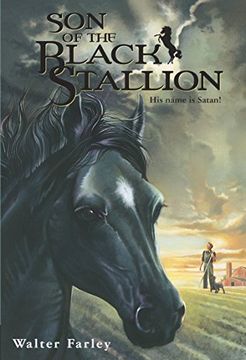portada Son of the Black Stallion (en Inglés)