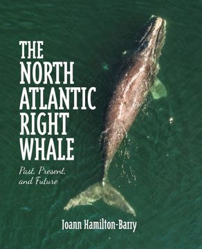portada The North Atlantic Right Whale: Past, Present, and Future