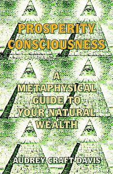 portada prosperity consciousness: a metaphysical guide to your natural wealth (en Inglés)