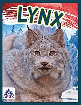 portada Wild Cats: Lynx (en Inglés)