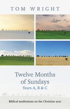 portada twelve months of sundays years a, b and c: biblical meditations on the christian year (en Inglés)