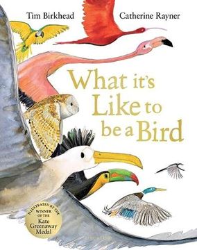 portada What It'S Like to be a Bird 