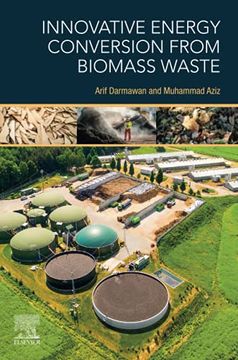 portada Innovative Energy Conversion From Biomass Waste (en Inglés)