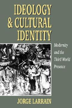 portada ideology and cultural identity: an introduction (en Inglés)