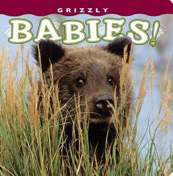 portada Grizzly Babies! (in English)