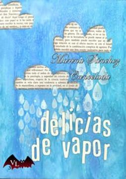 portada DELICIAS DE VAPOR