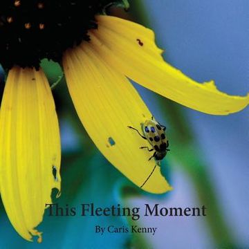 portada This Fleeting Moment (en Inglés)