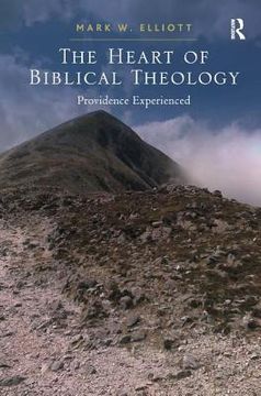 portada the heart of biblical theology: providence experienced
