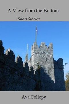portada A View from the Bottom: Short Stories (in English)
