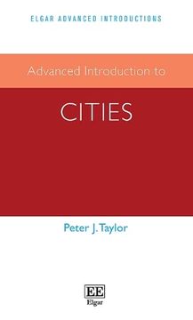 portada Advanced Introduction to Cities (Elgar Advanced Introductions Series) 