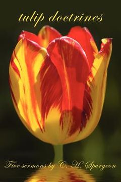 portada tulip doctrines