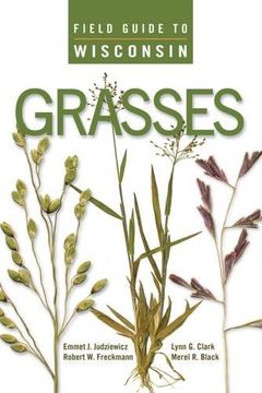 portada Field Guide to Wisconsin Grasses (en Inglés)