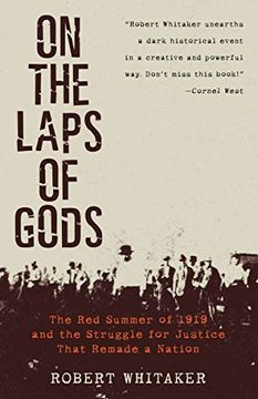 portada On the Laps of Gods: The red Summer of 1919 and the Struggle for Justice That Remade a Nation 