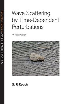portada Wave Scattering by Time Dependent Perturbations (in English)