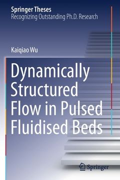 portada Dynamically Structured Flow in Pulsed Fluidised Beds (en Inglés)