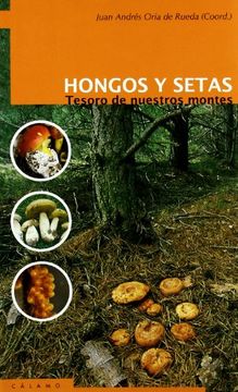 portada Hongos y Setas: Tesoro de Nuestros Montes (in Spanish)