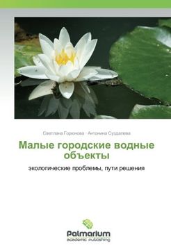 portada Malye gorodskie vodnye ob#ekty: jekologicheskie problemy, puti resheniya