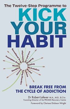 portada The Twelve-Step Programme to Kick Your Habit: Break Free From the Cycle of Addiction 