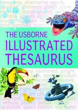 portada The Usborne Illustrated Dictionary & Thesaurus. Jane Bingham and Fiona Chandler (en Inglés)