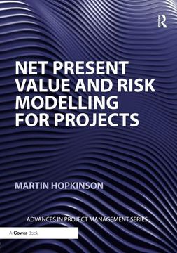 portada Net Present Value and Risk Modelling for Projects (en Inglés)