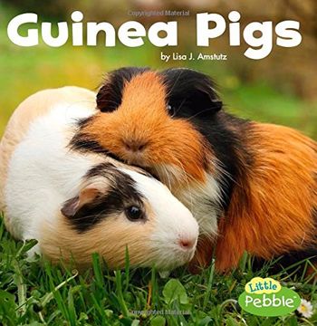 portada Guinea Pigs (Our Pets)