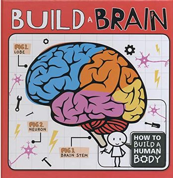 portada Build a Brain (How to Build a Human Body) (en Inglés)