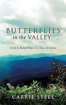 portada Butterflies in the Valley (in English)