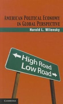 portada american political economy in global perspective