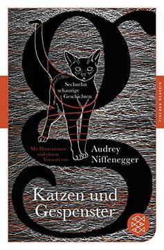 portada Katzen und Gespenster: Sechzehn Schaurige Geschichten (Fischer Klassik) (in German)