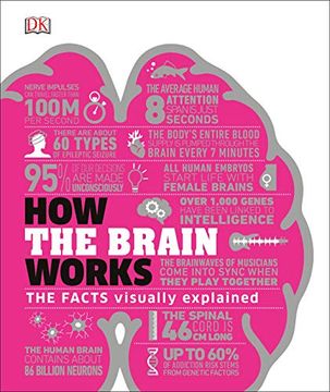 portada How the Brain Works: The Facts Visually Explained (How it Works) 