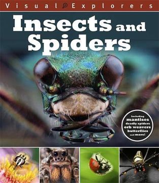 portada Insects and Spiders (Visual Explorers) (en Inglés)