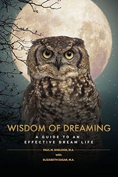 portada Wisdom of Dreaming: A guide to an effective dream life (Dreamosophy Approach)