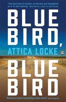 portada Bluebird, Bluebird (Highway 59) (in English)