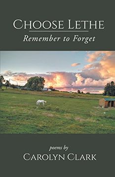 portada Choose Lethe: Remember to Forget (in English)