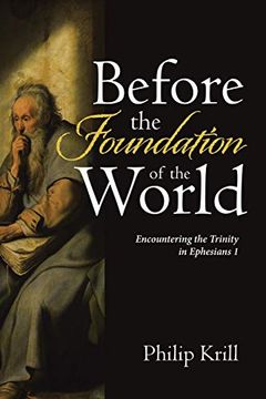 portada Before the Foundation of the World: Encountering the Trinity in Ephesians 1 (en Inglés)