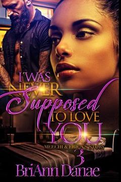 portada I Was Never Supposed To Love You 3: Meechi & Erica's Story (in English)