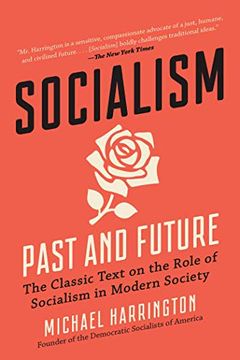 portada Socialism: Past and Future (en Inglés)