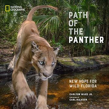 portada Path of the Panther: New Hope for Wild Florida 