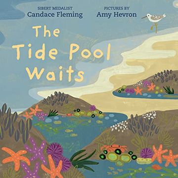 portada The Tide Pool Waits (in English)