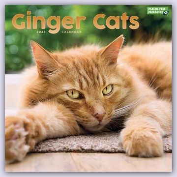 portada Ginger Cats Square Wall Calendar 2023 