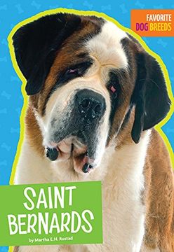 Saint Bernards (en Inglés)