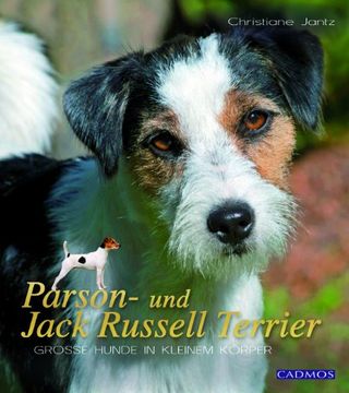portada Parson- und Jack Russel Terrier: Große Hunde im kleinen Körper