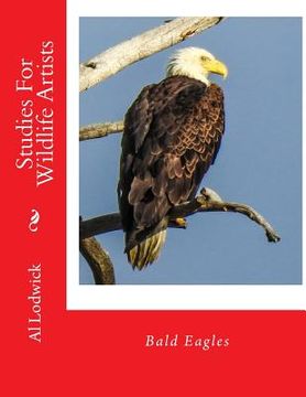 portada Bald Eagles: Studies For Wildlife Artists (en Inglés)