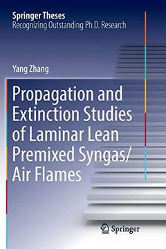portada Propagation and Extinction Studies of Laminar Lean Premixed Syngas (en Inglés)