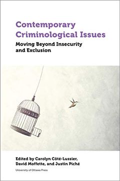 portada Contemporary Criminological Issues: Moving Beyond Insecurity and Exclusion (en Inglés)